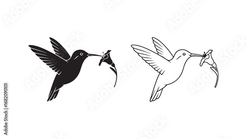 Hummingbird feeding from flower with transparent background