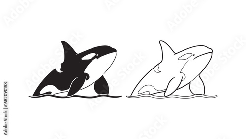 Orca whale outline and solid black shapes with transparent background