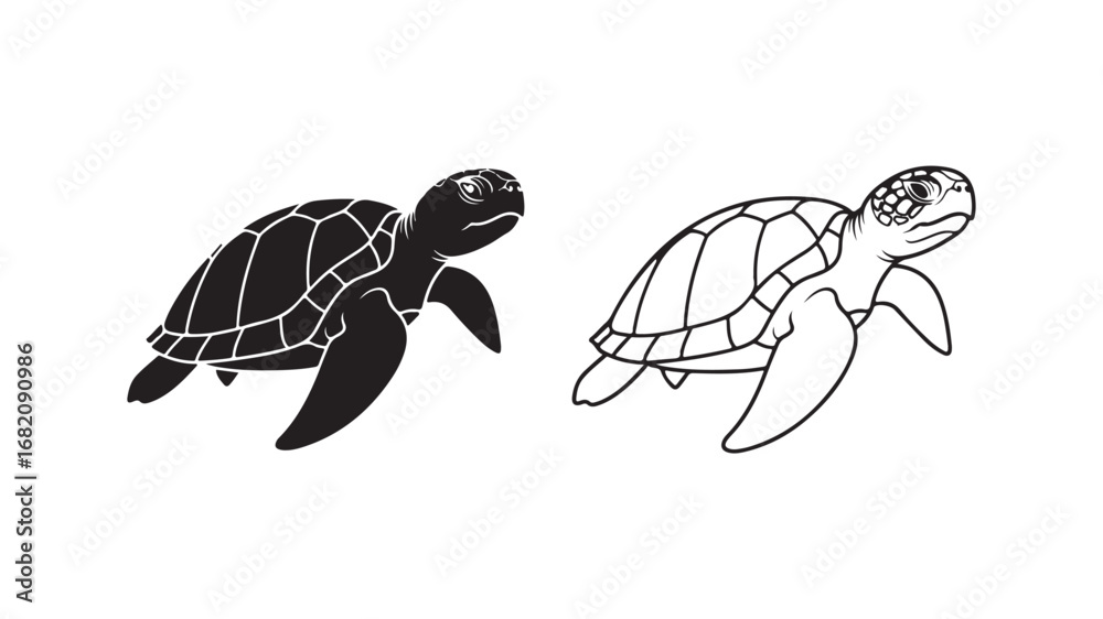 Obraz premium Sea turtle outline and silhouette with transparent background