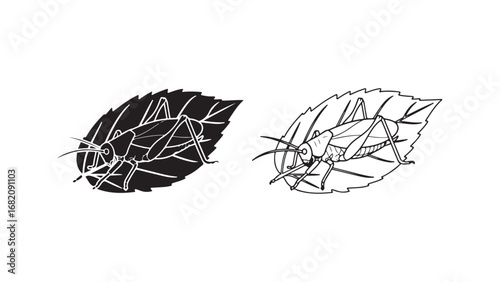 Grasshopper on leaf outline with transparent background