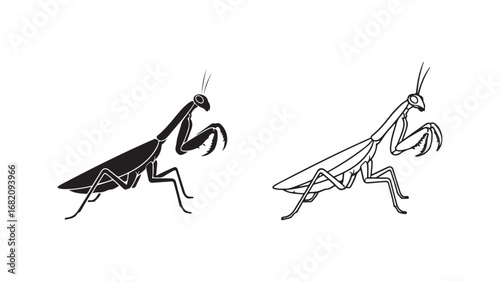 Praying mantis outline with transparent background
