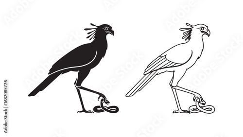 Secretary bird with snake prey, black and white outline