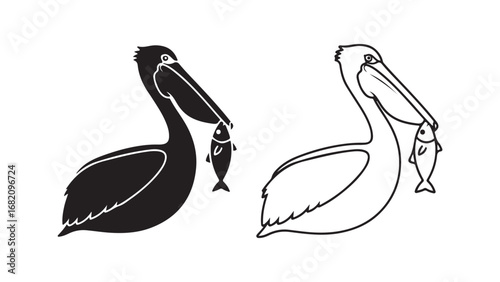 Pelican bird holding fish with transparent background