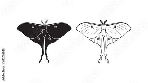 Luna moth outline and silhouette with transparent background