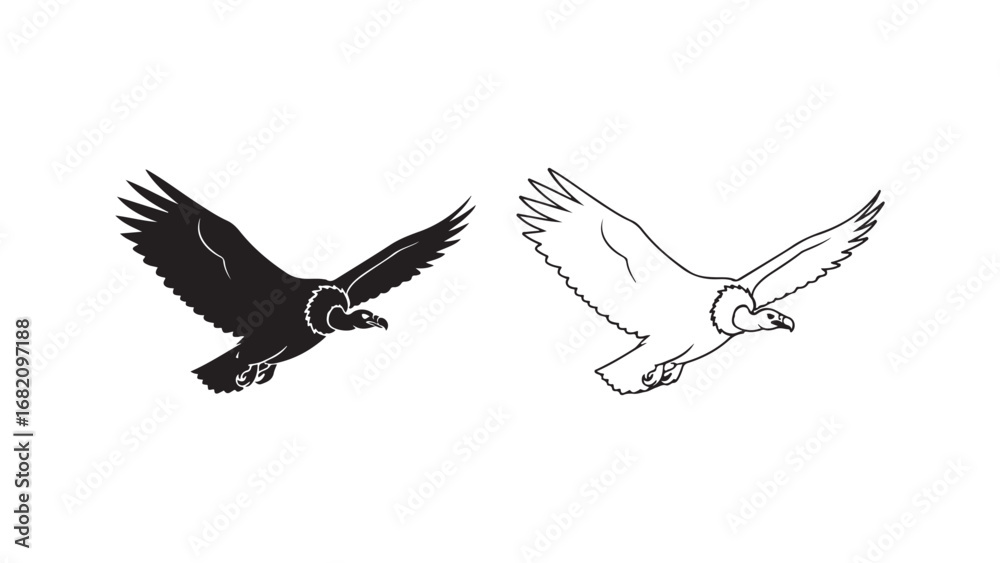 Obraz premium Flying vulture outline pair with transparent background