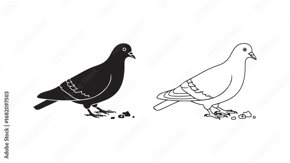 Fototapeta premium Pigeons eating seeds, black and white outline