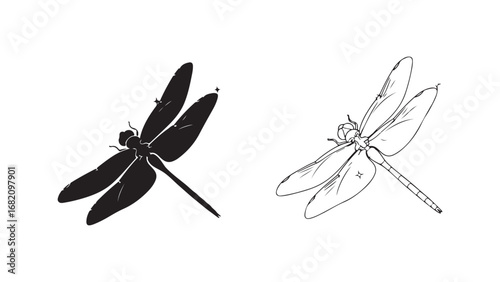 Dragonfly outline and silhouette with transparent background