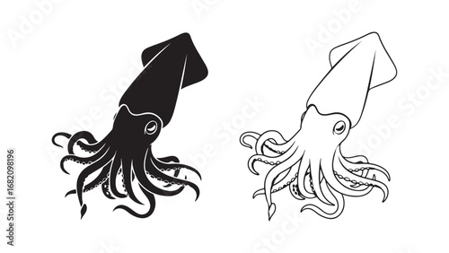 Squid outline and silhouette with transparent background