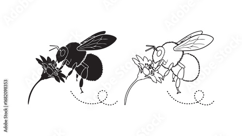 Bee on flower with transparent background