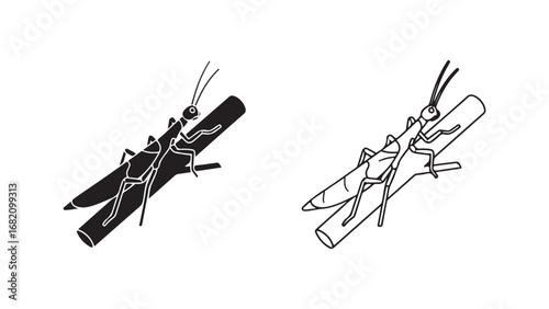 Praying mantis on branches with transparent background