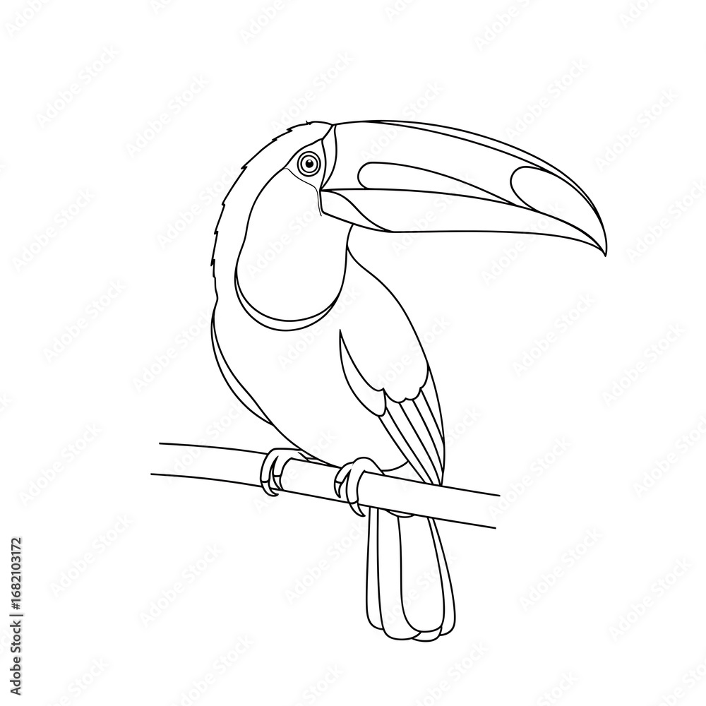 Fototapeta premium Line Art Illustration of a Toucan Bird Perched on a Branch