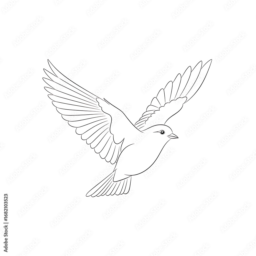 Obraz premium Line Drawing of a Flying Bird with Outstretched Wings