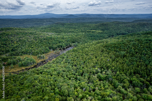 Картината върху платно Aerial view of Pisgah State Park, New Hampshire in late summer