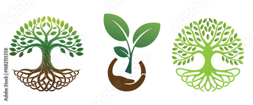 Three stylized trees with intricate root systems and a seedling cradled in hands symbolizing growth nature and life
