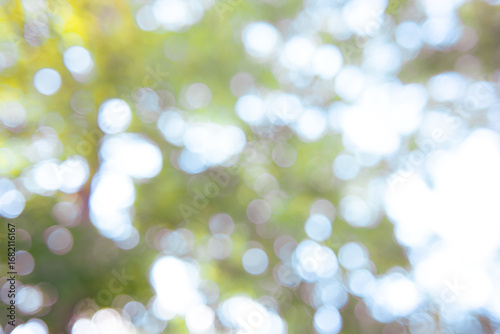 abstract bokeh background