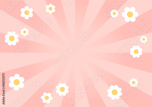 集中　花　サンバースト　ピンク