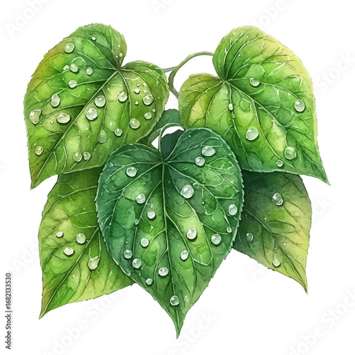 Dewy Green Spring Leaves, watercolor painting vector, isolated on a white background.