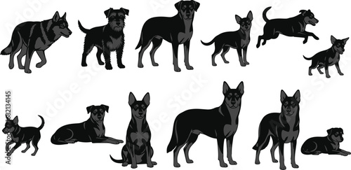 Stylized cartoon dogs in various poses and breeds, black and gray vector illustration, pet behavior, animal diversity, clean design