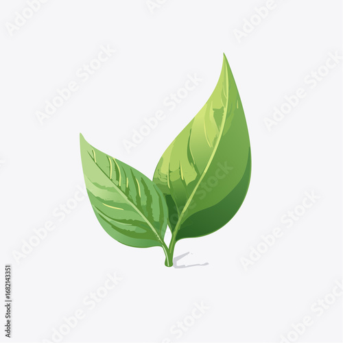 Fresh Green Leaves on a White Background A Symbol of Nature's Vitality and Growth