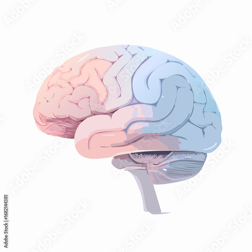 Conceptual illustration of a human brain in profile, featuring a split color design to represent the different hemispheres, intelligence, and cognitive functions