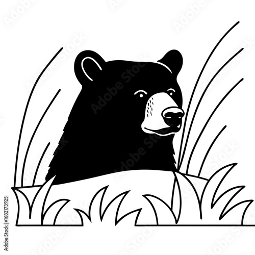 vector illustration of a panda