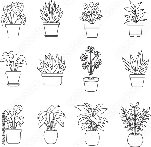 Twelve potted plants line art illustrations collection