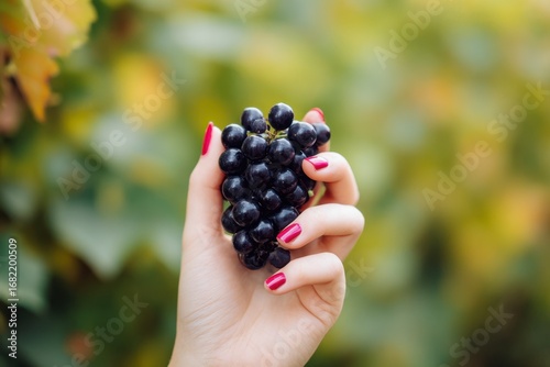 A hand with red nails holds a bunch of dark purple grapes against a blurred green and yellow background