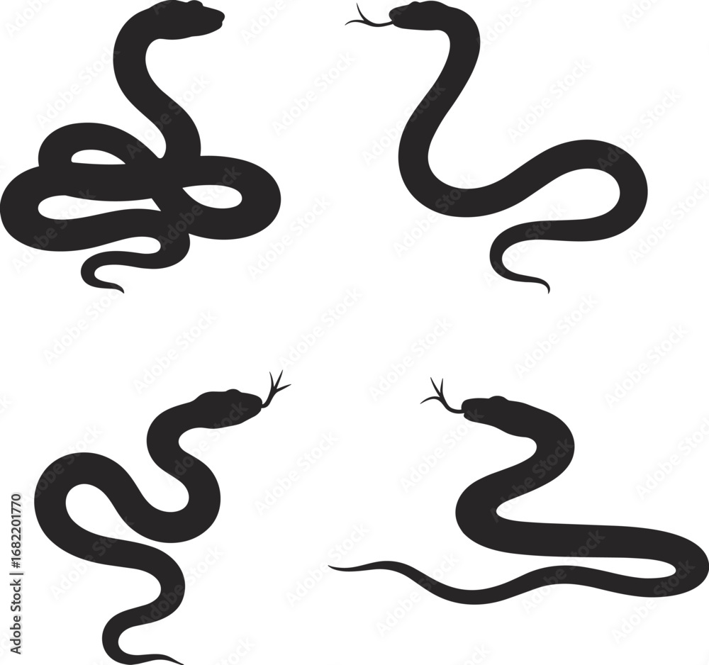 Fototapeta premium Four Black Snake Silhouettes in Different Coiled Poses on White Background snakes reptile