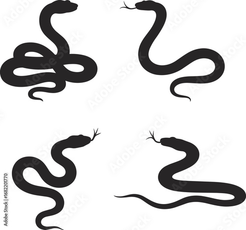 Four Black Snake Silhouettes in Different Coiled Poses on White Background snakes reptile