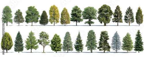 Forest of diverse trees in two rows.  Various shades of green, some yellow, displayed against black background.  Different tree shapes and sizes