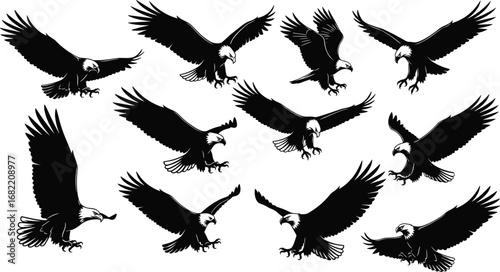 Silhouette of flying and attacking bald eagles with open wings, aggressive pose, isolated vector set, hunting birds of prey illustration