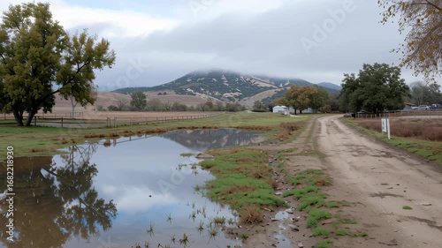 Serene Roadscape with Reflections and Rolling Hills in Soft Light