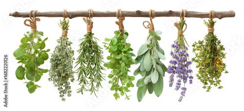 Bundles of herbs hanging from a wooden rod