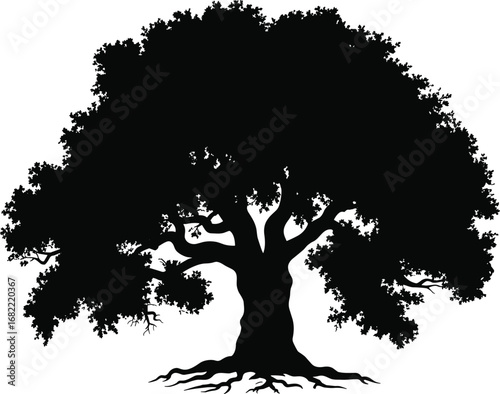 Large oak tree silhouette with detailed branches and roots, natural forest design, ecology artwork, environmental concept, seasonal landscape, nature illustration
