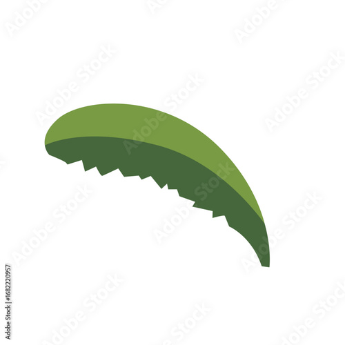 2d illustration banana leaf curved downward isolated on white background, suitable for eco projects, tropical jungle decoration, exotic plant design, and natural gardens.
