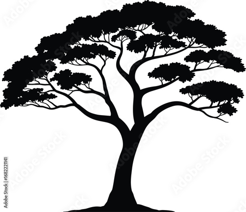 Tall tree silhouette with spreading branches and foliage, natural forest design, ecology artwork, environmental concept, seasonal landscape, botanical illustration, nature