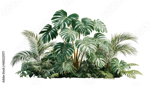 Lush tropical foliage cluster (1)