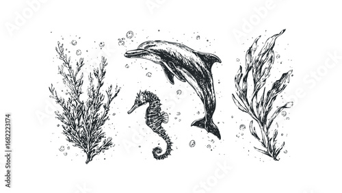Sketch of a dolphin and seahorse swimming amongst seaweed and bubbles. Vector hand drawn illustration