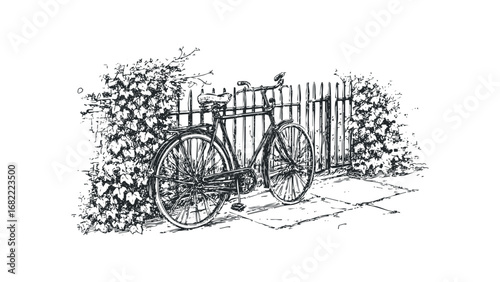 Sketch of an antique bicycle leaning against a fence with foliage on a transparent. Vector hand drawn illustration