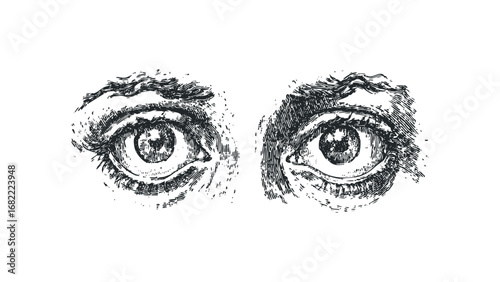 Close up of two human eyes in vintage sketchy style on white. Vector hand drawn illustration
