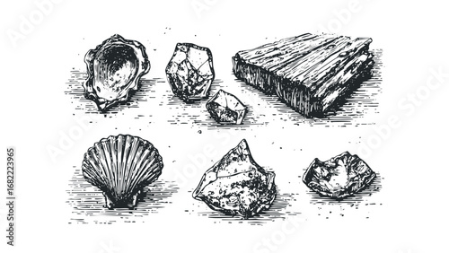 Collection of assorted rough rocks and shells on a white surface. Vector hand drawn illustration