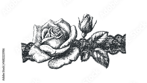 Detailed black and white sketch of a rose blossom with a bud and lace accent. Vector hand drawn illustration