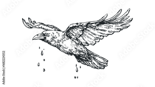 Hand drawn raven in flight with ink drops. Vector hand drawn illustration