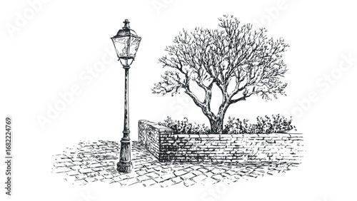 Sketch of a vintage lamp post next to a bare tree and stone wall. Vector hand drawn illustration