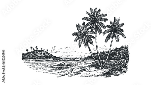 Tropical beach with palm trees and ocean waves in a sketchy style. Vector hand drawn illustration