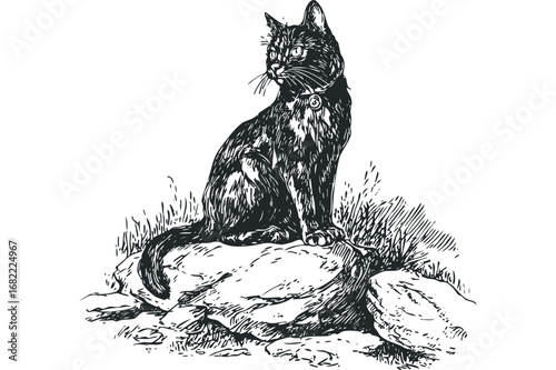 Black cat with collar sitting on rocks with grassy texture. Vector hand drawn illustration