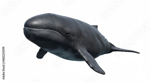 Dunkelgrauer Wal schwimmt elegant im hellen Licht. AI Generated