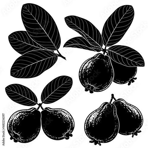 Set of black silhouette guava fruit and leaf illustrations.