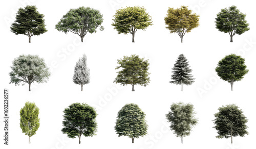 Diverse tree silhouettes