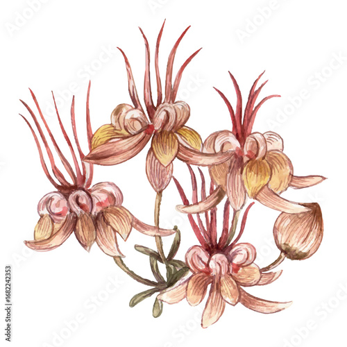 water color painting cocoa  flower